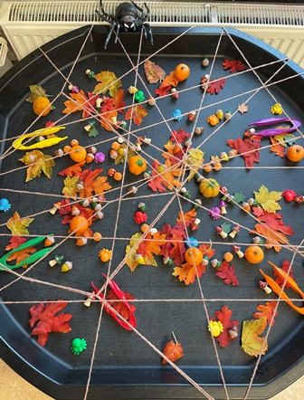 herfst spinnenweb groot