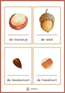 woordkaarten herfst kleuters