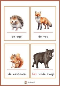 woordkaarten herfst kleuters