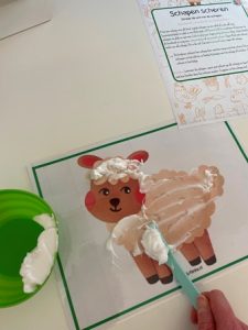 schapen scheren