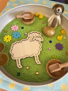 sensobak schaap
