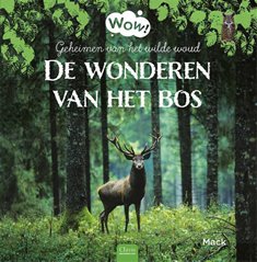 de wonderen van het bos herfst boek kleuters