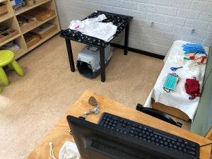 dierenarts spelhoek kleuters