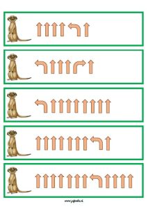 programmeren dierentuin stokstaartjes kleuters