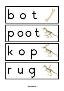 botten bekijken dino kleuters