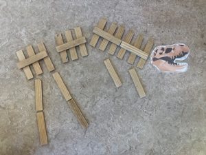 dino skelet kapla kleuters