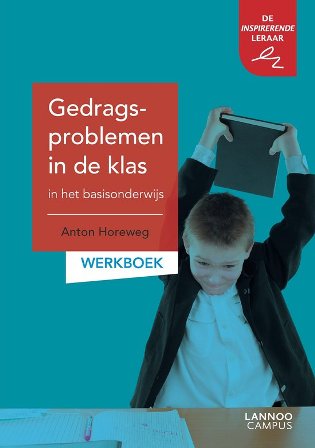 gedragsproblemen werkboek