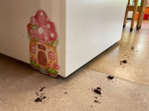 kabouter thema opening kleuters