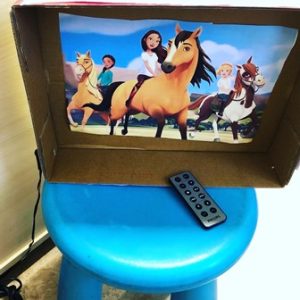 huishoek tv