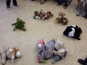 kringactiviteit dieren