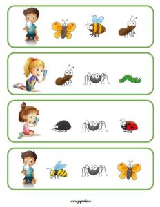kriebelbeestjes zoeken insecten kleuters