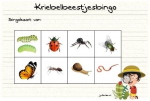 kriebelbeestjesbingo insecten kleuters