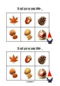 zoekkaart herfst kleuters bos