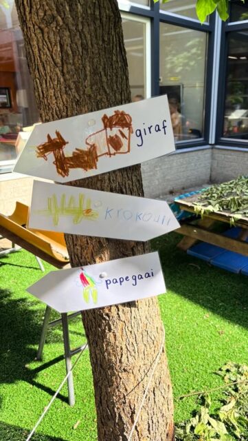 🦁 Welkom in onze superrr gave dierentuin Kroko! M’n duocollega heeft de buitenberging opengezet en de kleuters hebben in groepjes dierenverblijven ingericht in onze binnentuin. Wat werd er gesjouwd en gebouwd!
Beide kleutergroepen grenzen aan deze binnentuin. 

🐨 De kinderen hebben van thuis knuffels meegebracht, die we aan het eind van de dag binnenhalen. Er ligt (vogel)voer, er zijn harken en scheppen voor de poep, kammen en borstels, een ijskraam en meer. Twee kleuters maakten een plattegrond (daar is ie weer) en we bedachten samen een naam. 

🐻 Als je stilletjes meeluistert naar het spel van de kinderen daar, dan word je heel gelukkig! 🙂