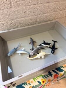 watertafel dierentuin