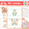 duo's vormen, tweetallen maken, kleuters