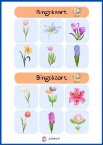 bollenbingo thema Nederland Koningsdag kleuters