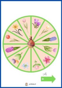 bollenbingo thema Nederland kleuters