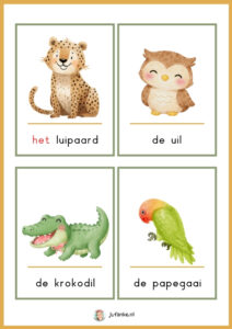 woordkaarten kleine aap