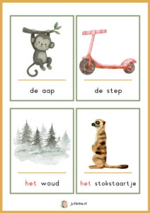 woordkaarten kleine aap