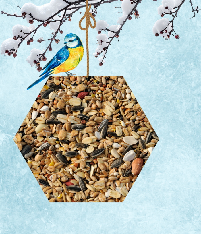 thema winter kleuters